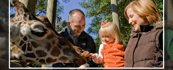South Carolina Family Fun