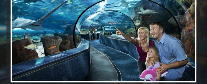 Top Family-Friendly Attractions in Myrtle Beach