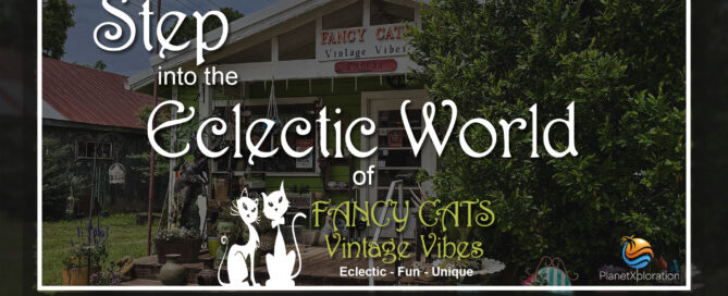 Fancy Cats Vintage Vibes
